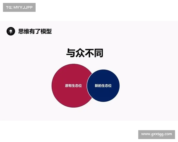 拥抱52奶茶:成功之道与创新之路 拥抱52奶茶:成功之道与创新之路