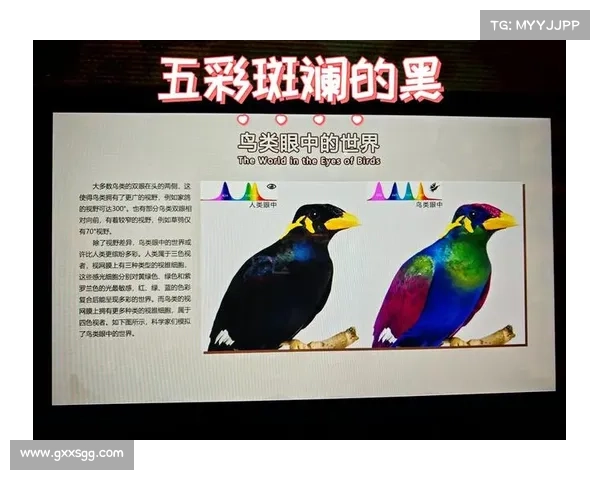 五彩斑斓的世界如何影响生命的演化与感知体验探析 五彩斑斓的世界如何影响生命的演化与感知体验探析