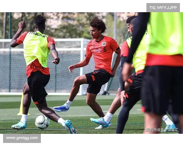 全面解析法甲冠军标志的演变类型与多元象征意义深度研究全景洞察 全面解析法甲冠军标志的演变类型与多元象征意义深度研究全景洞察