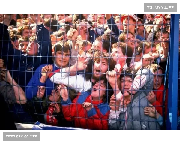 海瑟尔惨案给英超球队管理与球迷文化建设的深刻启示